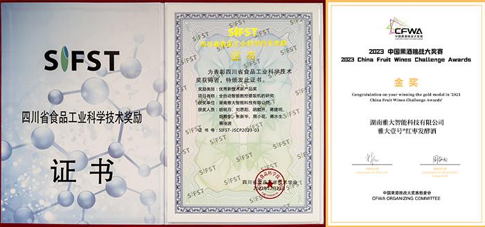 雅大總經理胡明月榮獲2024年湖南省企業創新達人 9